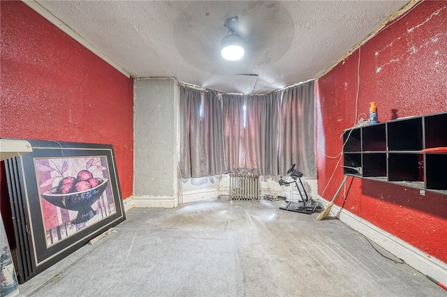 miscellaneous room with a textured ceiling and carpet floors