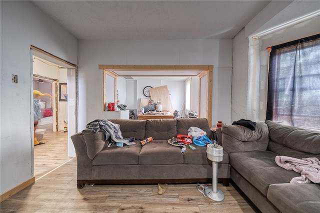 living room featuring light hardwood / wood-style floors