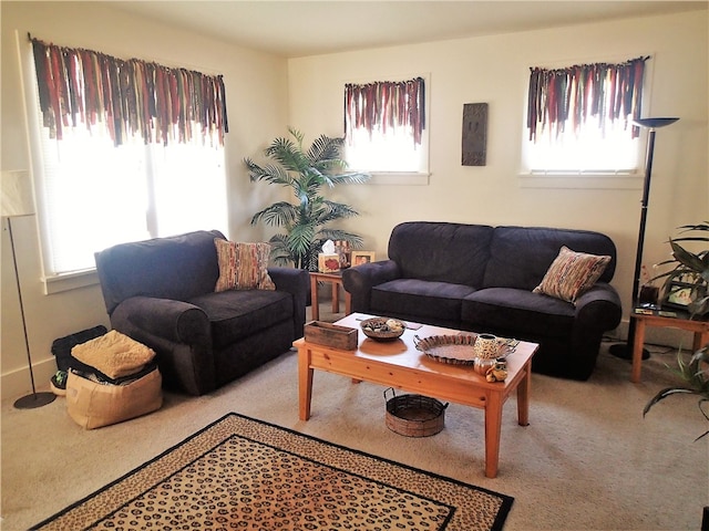 view of carpeted living room