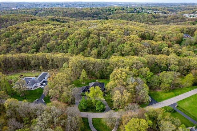 view of bird's eye view