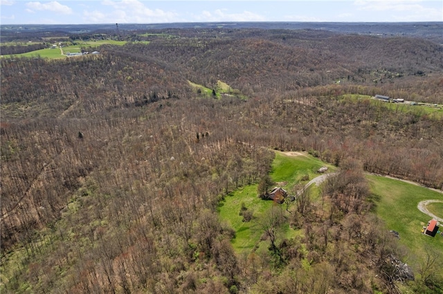 view of bird's eye view