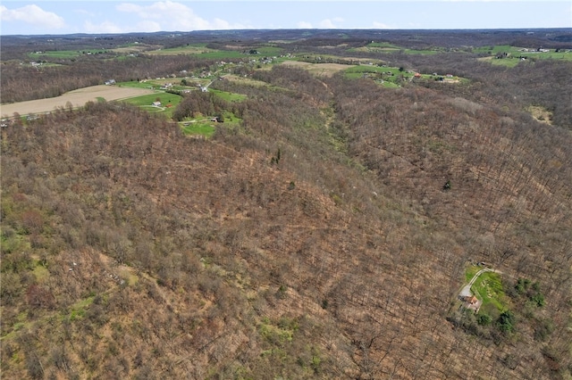 view of drone / aerial view