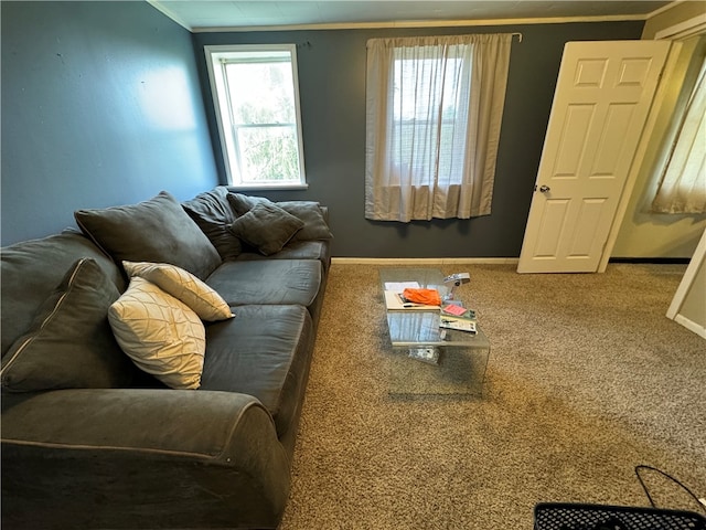 living room with carpet flooring and ornamental molding