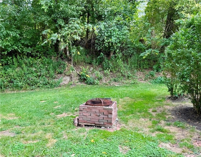 view of yard with an outdoor fire pit