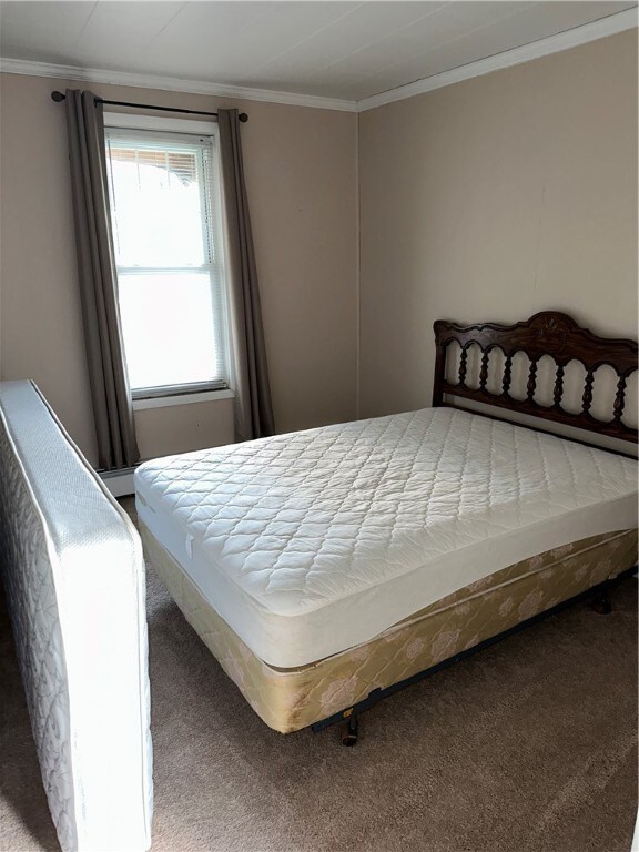 carpeted bedroom with crown molding