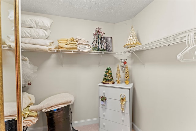 walk in closet featuring carpet flooring