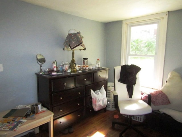 living area with dark hardwood / wood-style flooring