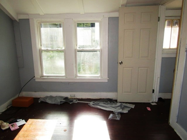 unfurnished room featuring a healthy amount of sunlight and wood-type flooring