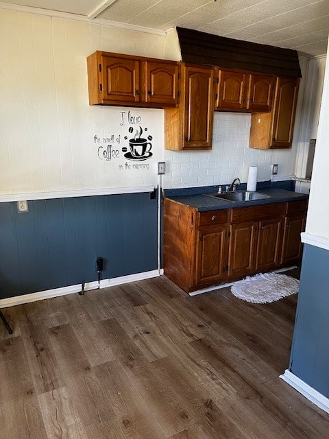 kitchen featuring sink and dark wood-type flooring