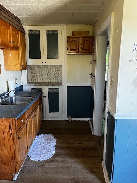 kitchen with sink and dark hardwood / wood-style flooring