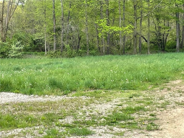 view of landscape featuring a wooded view