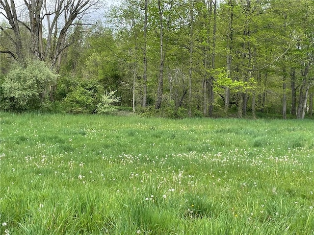 view of landscape