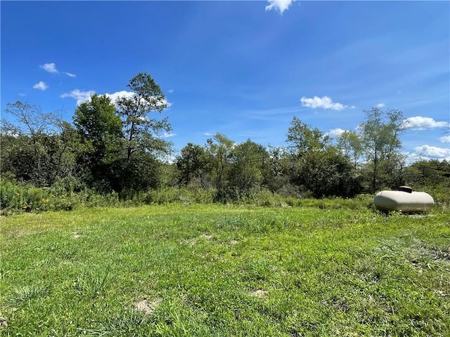 view of local wilderness