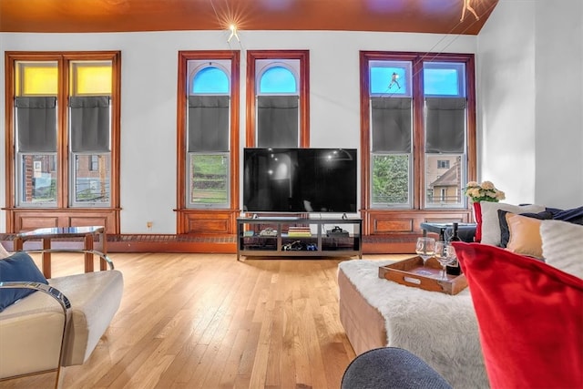 living room with hardwood / wood-style floors