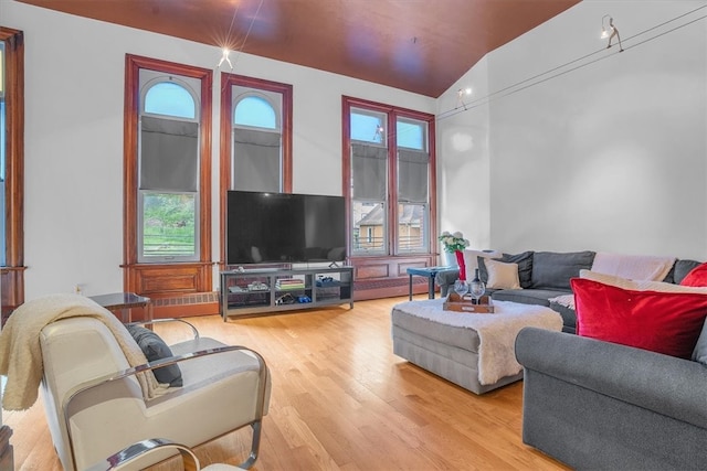 living room featuring a healthy amount of sunlight, hardwood / wood-style floors, and lofted ceiling