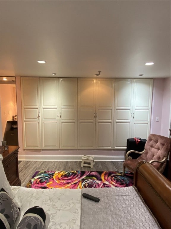 living room featuring light hardwood / wood-style flooring