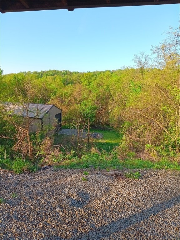 view of yard featuring an outdoor structure