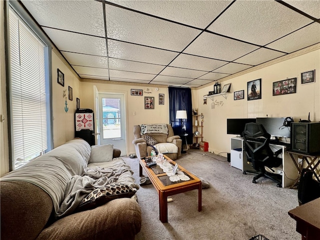 carpeted living room featuring a drop ceiling