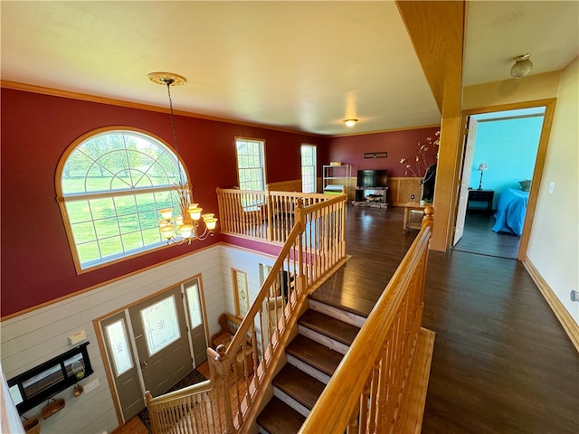 interior space with dark hardwood / wood-style flooring, a chandelier, and ornamental molding