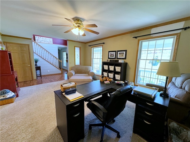 office space featuring crown molding, ceiling fan, and hardwood / wood-style floors