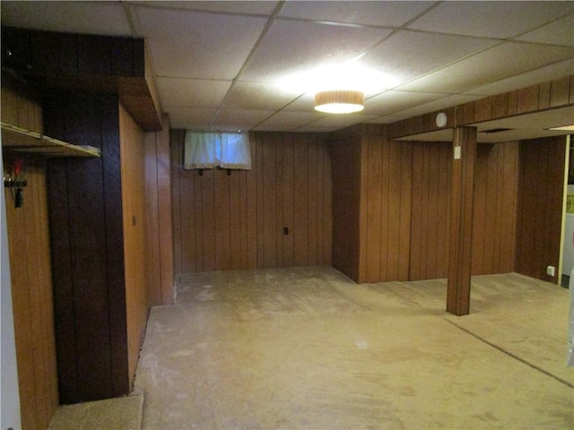 basement with wooden walls