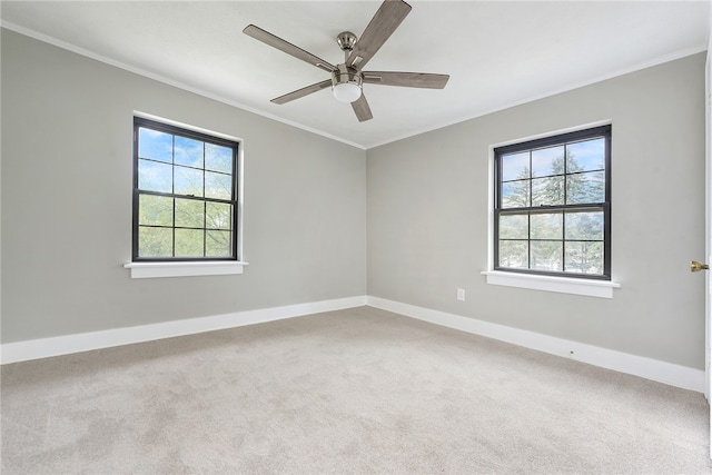 empty room with carpet floors and plenty of natural light