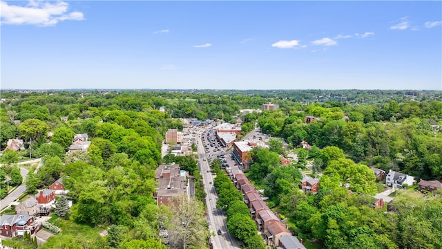 view of bird's eye view