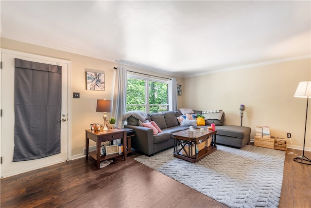 living room featuring hardwood / wood-style flooring and ornamental molding