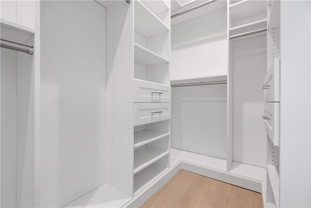 spacious closet with hardwood / wood-style flooring