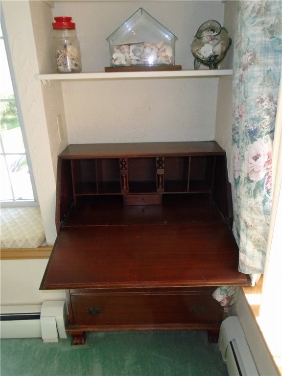 room details with carpet flooring and a baseboard radiator