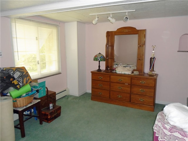 interior space featuring rail lighting, baseboard heating, and carpet