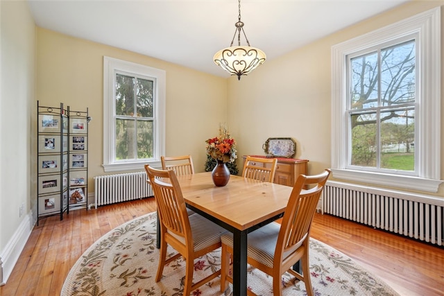 dining room with radiator heating unit and light wood-type flooring