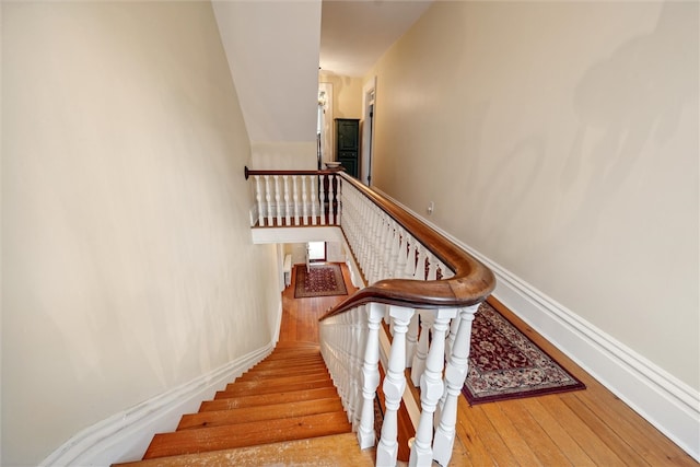 stairway with hardwood / wood-style flooring