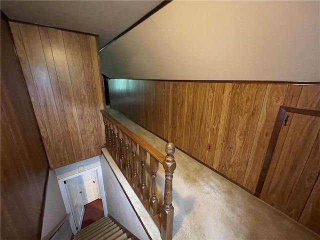 stairway featuring wooden walls and carpet flooring