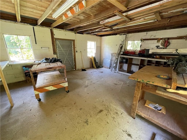 miscellaneous room with a workshop area, a wealth of natural light, and concrete flooring