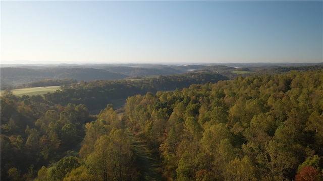 view of birds eye view of property