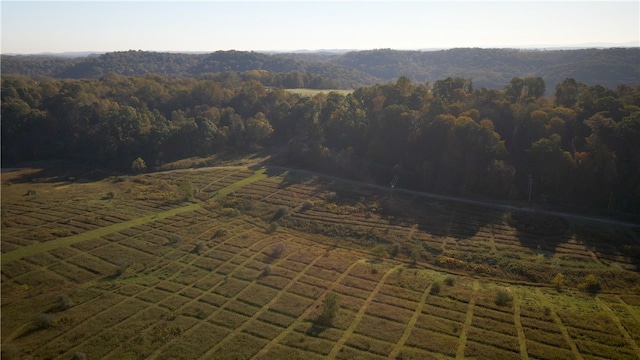 birds eye view of property with a rural view