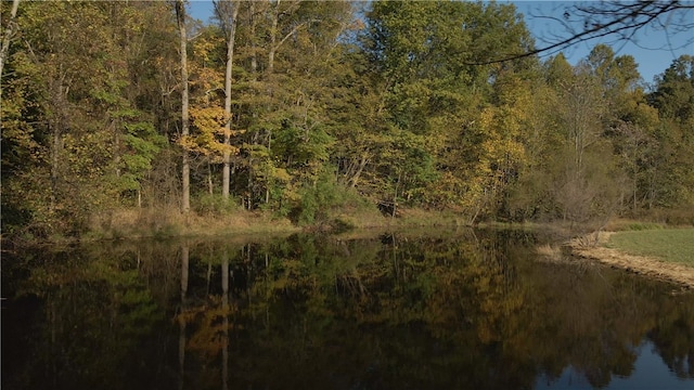 view of mother earth's splendor featuring a water view