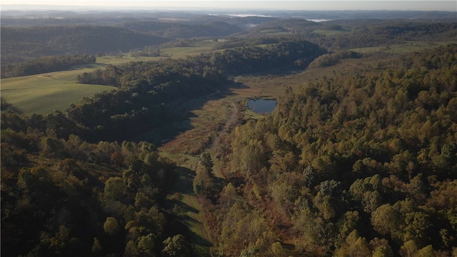 view of bird's eye view