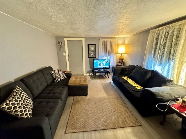 living room with hardwood / wood-style flooring and a textured ceiling