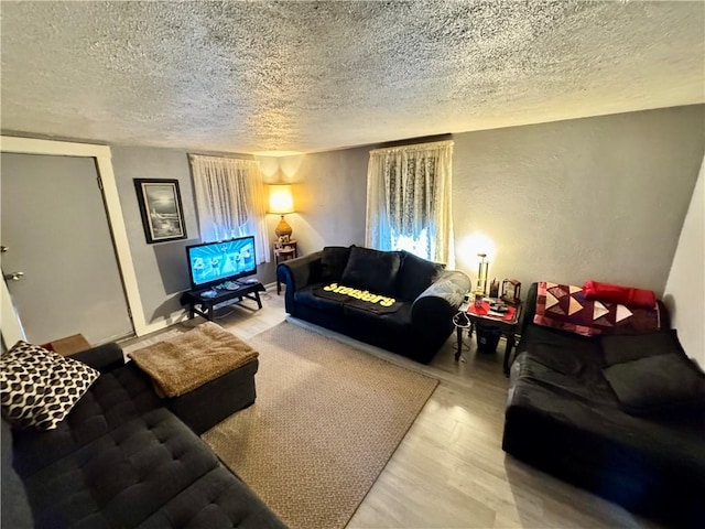 living room featuring wood-type flooring and a textured ceiling