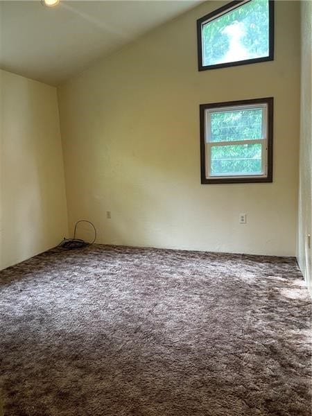 spare room featuring a high ceiling and carpet flooring