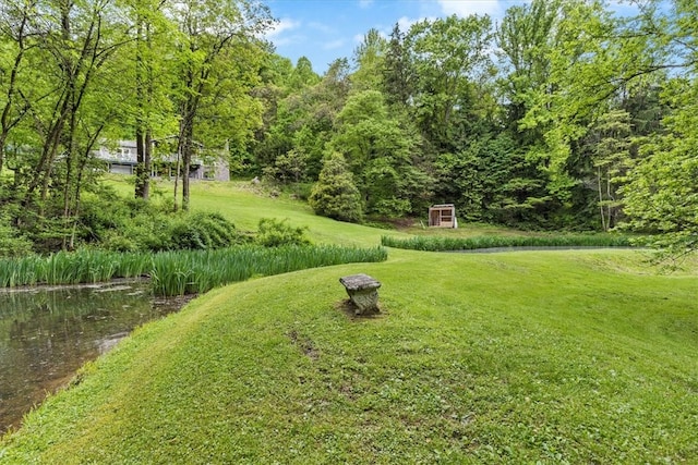 view of yard featuring a water view