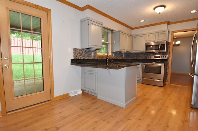 kitchen featuring a wealth of natural light, light hardwood / wood-style floors, and stainless steel appliances