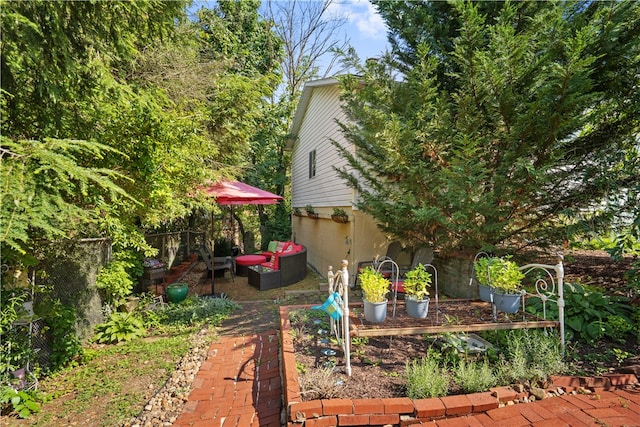 view of yard featuring a patio area