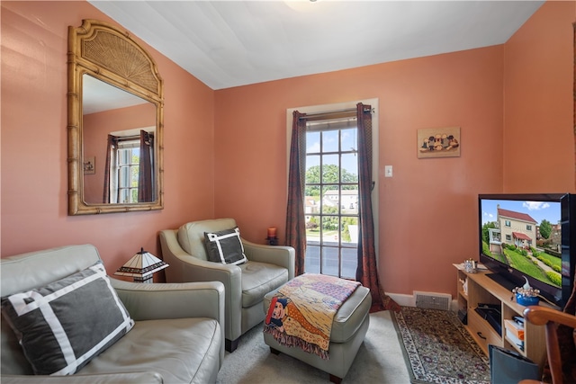 living room with carpet flooring