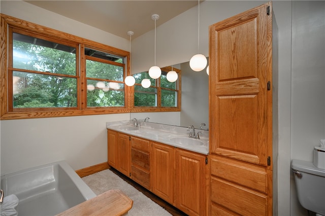 bathroom featuring a wealth of natural light, toilet, and dual vanity