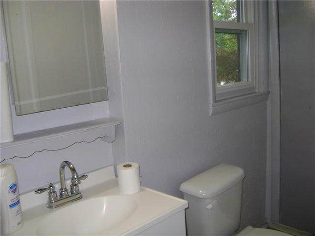 bathroom featuring vanity with extensive cabinet space and toilet