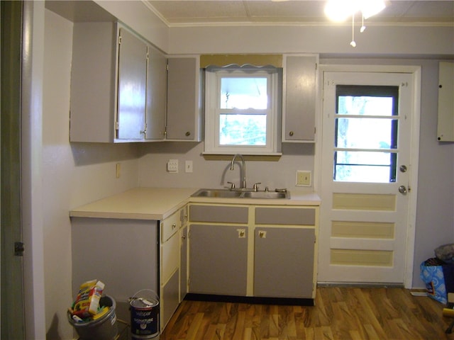 kitchen with sink, dark hardwood / wood-style flooring, and ornamental molding