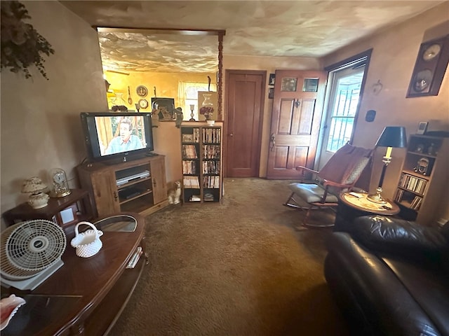 living room featuring carpet